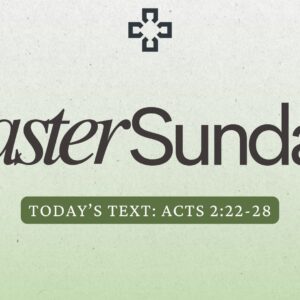 Acts 2:22-28